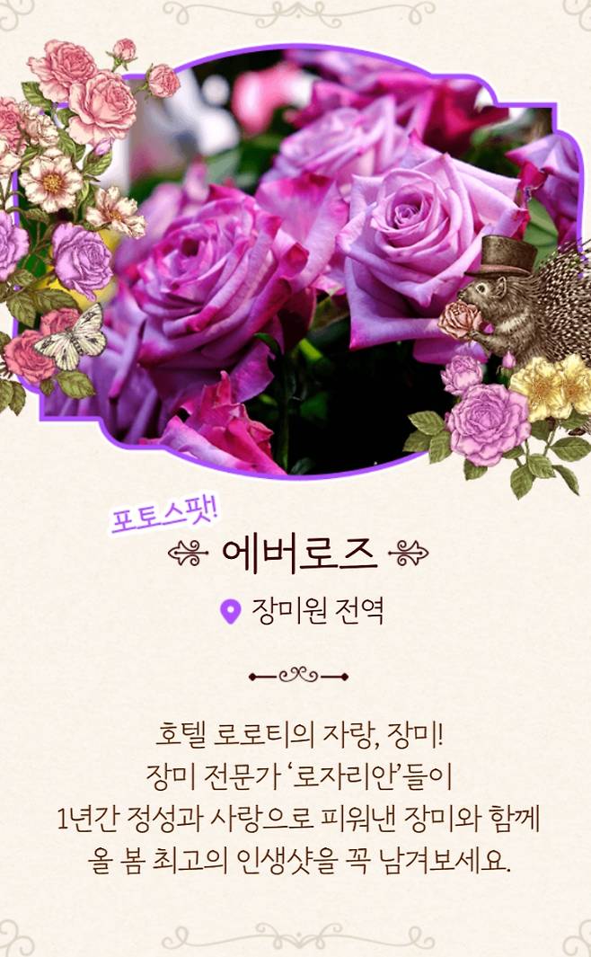 장치축제 에버 로즈 가든, 향기터널, 재즈 공연·먹거리·SNS 이벤트