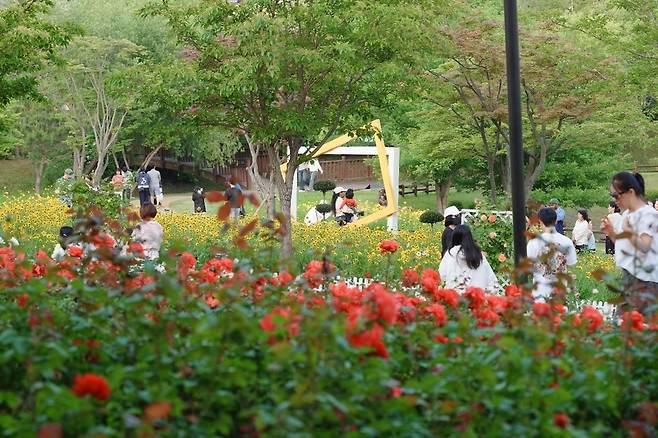 ▲ 장미빛 축제를 즐기는 시민들. /사진제공=오산문화재단
