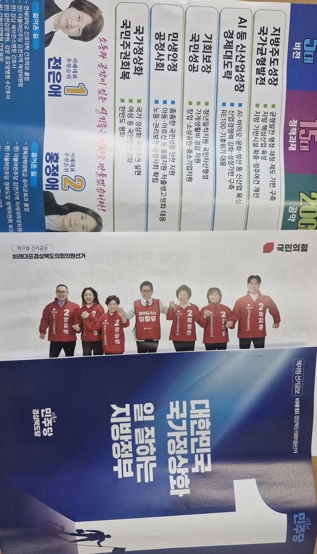 사진은 민주당 김천시의원 비례대표 선거공보물과 민주당과 국민의힘 경북도의원 선거 홍보물.