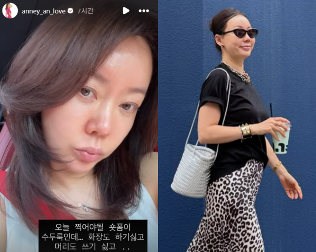 안선영 SNS