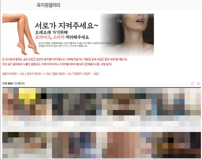 집단 성관계 및 음란행위 영상이 공유되던 사이트. 서울경찰청 제공