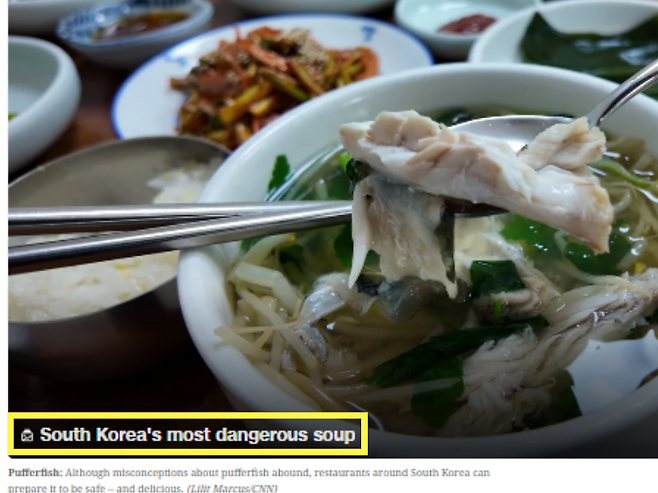 미국 CNN이 부산의 대표적 향토 음식 중 하나인 '복국'을 "세계에서 가장 위험한 국물 음식"으로 지목했다. /사진=CNN travel 캡처