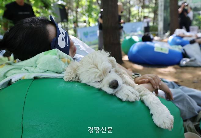 31일 서울 성동구 서울숲에서 열린 ‘제1회 우리강산 푸르게 푸르게 숲속 개꿀잠대회’에서 참가자들이 반려견과 잠을 청하고 있다. 강윤중 기자