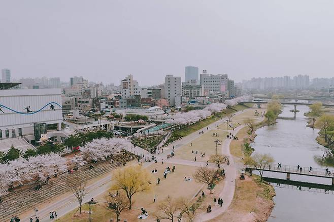 오산천 벚꽃축제. 오산시 제공