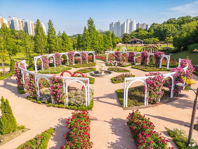 고인돌공원 장미뜨레. 오산시 제공