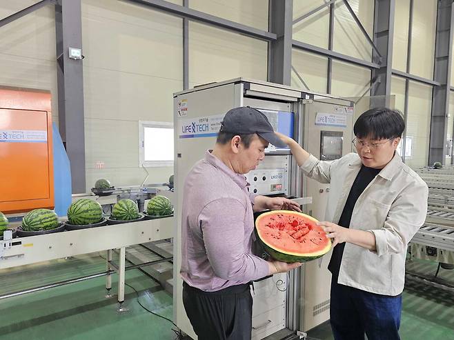 박청규 쿠팡 로켓프레시 품질보증팀 매니저(오른쪽)가 협력사와 함께 AI 과일 선별기를 거친 수박을 교차 검증하고 있다. 쿠팡
