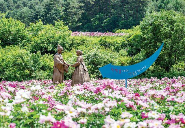 영월군 상동읍 내덕리 작약꽃밭 속 단종과 정순왕후 동상