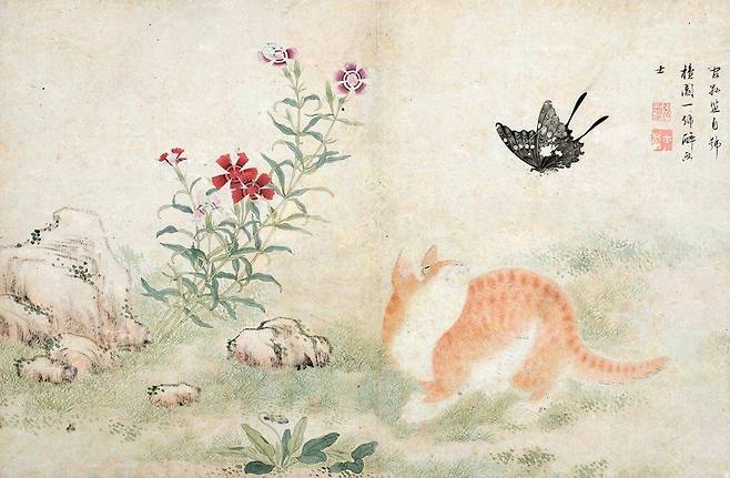 '황묘농접도'(1790년대). 노란 고양이가 고개를 돌려 나비를 바라보는 그림이다. 고양이(猫)와 나비(蝶)는 발음이 각각 일흔·여든 살 노인을 뜻하는 글자와 비슷해, 둘을 함께 그려 "오래오래 장수하시라"는 축원을 담았다. 곁의 패랭이꽃과 바위는 젊음과 장수를 뜻한다. /간송미술관