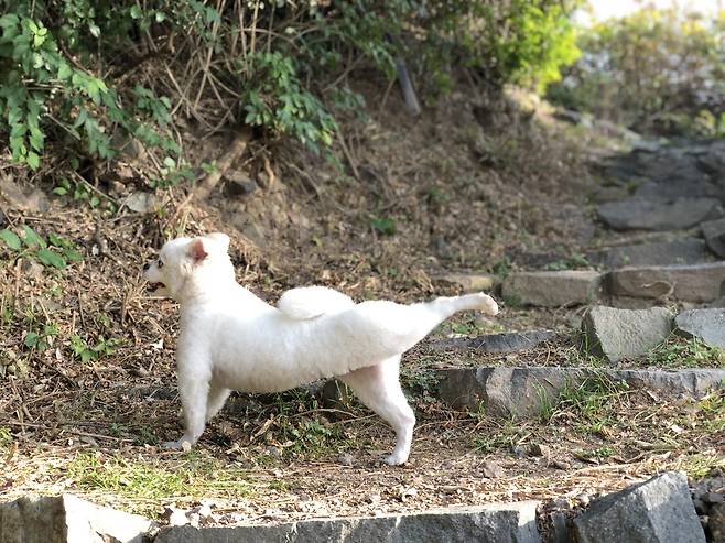 두부의 스트레칭 개인기(강슬기 제공) ⓒ 뉴스1