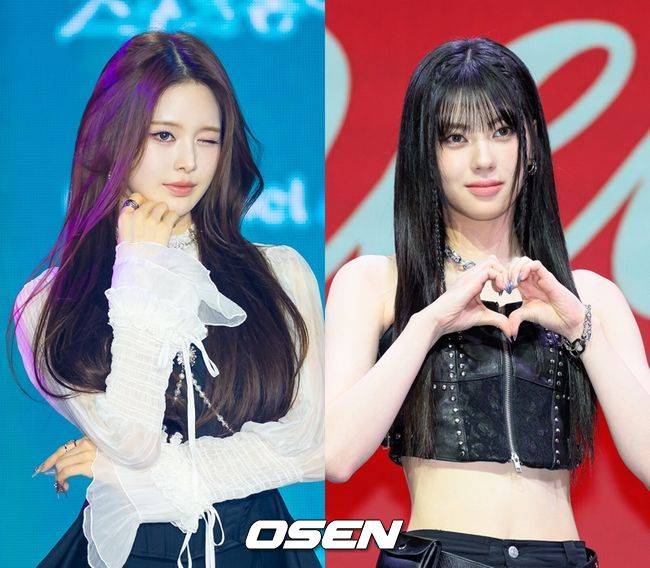 OSEN DB