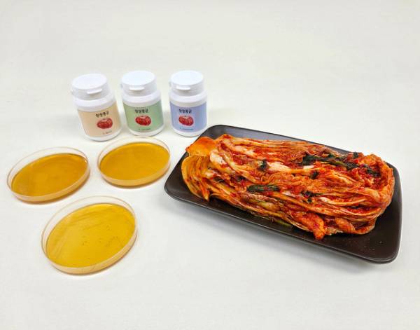 충북농기원이 특허 출원한 유산균 3종. /충북도 제공