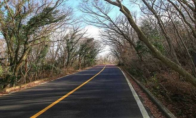 한라산을 가로질러 제주시와 서귀포시를 잇는 지방도 제1131호선은 도민 사이에서 ‘5·16도로’라고 불려왔다. 비짓제주 누리집