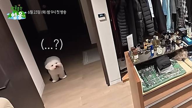/사진=영상 캡처