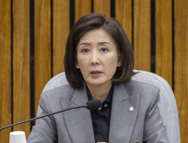 나경원 국민의힘 의원. 연합뉴스 자료사진