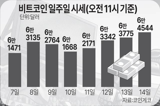 자료=코인게코
