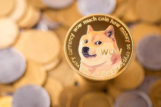 대표적인 밈코인으로 꼽히는 도지(DOGE)코인을 형상화한 이미지. 게티이미지뱅크