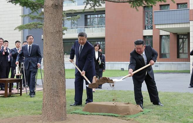 김정은 북한 국무위원장과 시진핑 중국 국가주석이 6월 9일 북한 노동당 중앙간부학교를 방문, 기념식수를 하고 있다. 노동신문