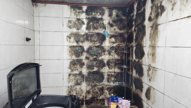 화장실 주변에는 시커먼 곰팡이가 번져 있었고, 습기를 머금은 벽 틈새는 금방이라도 무너질 듯하다. 고도현 기자