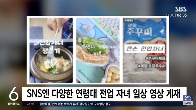 집안일과 돌봄을 맡아 생활하는 전업자녀들의 일상이 SNS에 공유되고 있다. SBS 보도화면 캡처
