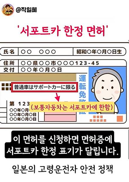 일본에선 고령 운전자에게 '조건부 면허'를 주는 정책을 실행하고 있다. 첨단 운전자 보조 시스템이 장착된 '서포트카' 차량에 한해 운전할 수 있도록 하는 것./사진=유튜버 '직일혜' 채널 캡쳐