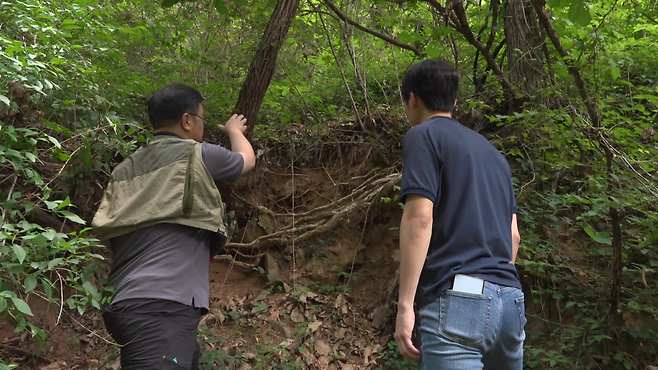 서울 은평구의 한 학교 뒷산. 빗물에 토사가 무너져 내린 모습