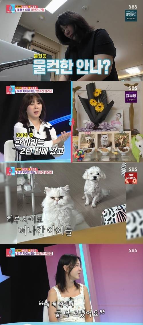 SBS '동상이몽2' 화면 캡처
