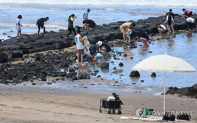 무더위 피해 제주 해수욕장 찾은 피서객 (제주=연합뉴스) 고성식 기자 = 제주에 폭염특보가 내린 12일 제주시 이호테우해변을 찾은 관광객과 도민들이 원담(제주 전통 바닷가 돌담 어로 시설)에서 고둥과 조개 등을 채취하고 있다. 2026.7.12 koss@yna.co.kr