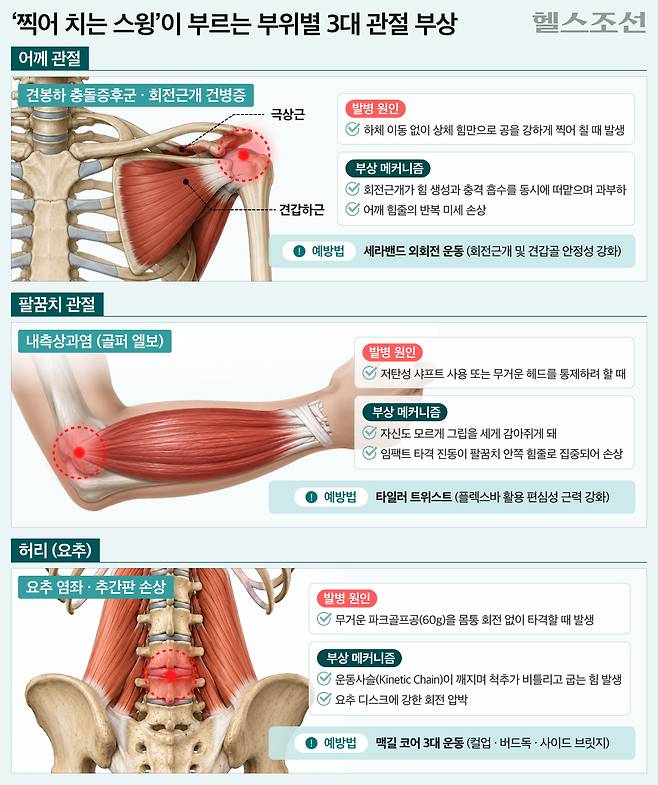 입문자는 스윗스팟이 넓은 초보용 채를 고르는 것이 유리하다./그래픽=김경아