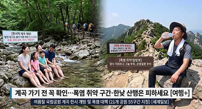 안전한 피서를 위해 방문 전 개방된 계곡 위치와 피해야 할 시간대를 미리 확인하는 과정이 반드시 필요하다. 사진은 구글 인공지능(AI) 제미나이가 생성한 가상 이미지.