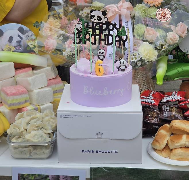 18일 치러진 푸바오 생일파티, 생일상