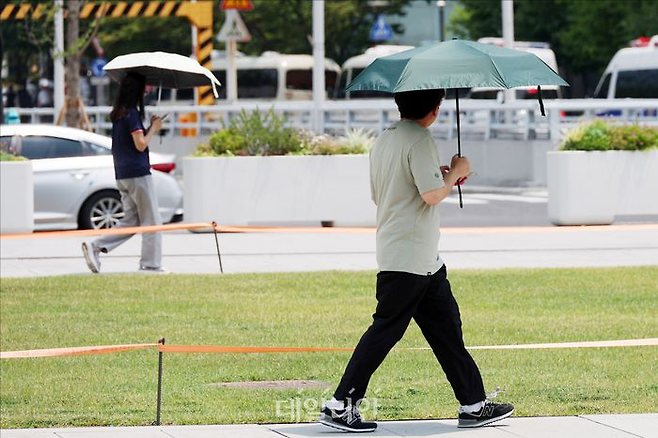 연일 폭염이 이어지면서 온열질환과 가축 폐사 피해가 늘자 실손보험과 기후보험, 가축재해보험 등 관련 보장에 관심이 커지고 있다.ⓒ데일리안 홍금표 기자