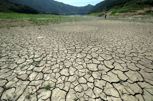 전국적으로 폭염과 남부지방에 가뭄이 이어지는 가운데 31일 경북 영천시 보현산댐 상류의 바닥이 드러나 있다. 국가가뭄정보포털에 따르면 전날 기준 보현산댐의 저수율은 16.4%다. 사진=연합뉴스