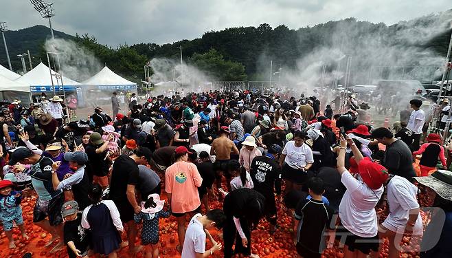 2026 화천토마토축제 이틀째인 1일 화천 사내면 사내체육공원에서 '황금반지를 찾아라' 이벤트에 참여한 관광객들이 토마토 속에 숨겨진 금반지를 찾고 있다.(화천군 제공, 재판매 및 DB금지) 2026.8.1 /뉴스1