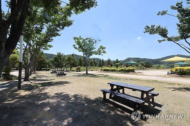 방문객 없는 태화강 국가 정원 (울산=연합뉴스) 장지현 기자 = 울산 전역에 폭염 중대경보가 발효된 1일 오후 울산 중구 태화강 국가 정원이 방문객 없이 한산하다. 2026.8.1 jjang23@yna.co.kr