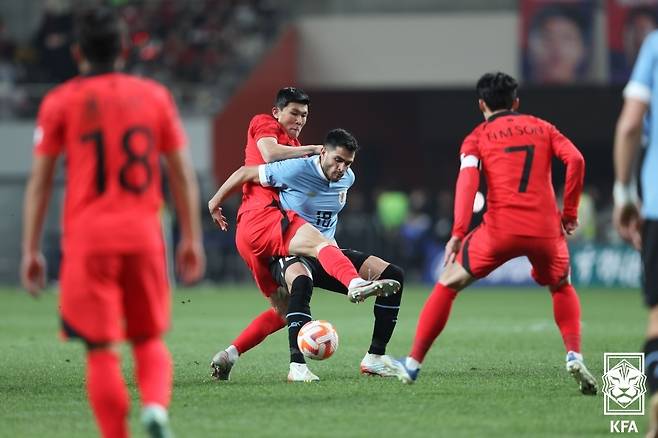 축구대표팀 김민재가 2023년 3월 우루과이와의 A매치에서 상대를 압박하고 있다. 대한축구협회 제공
