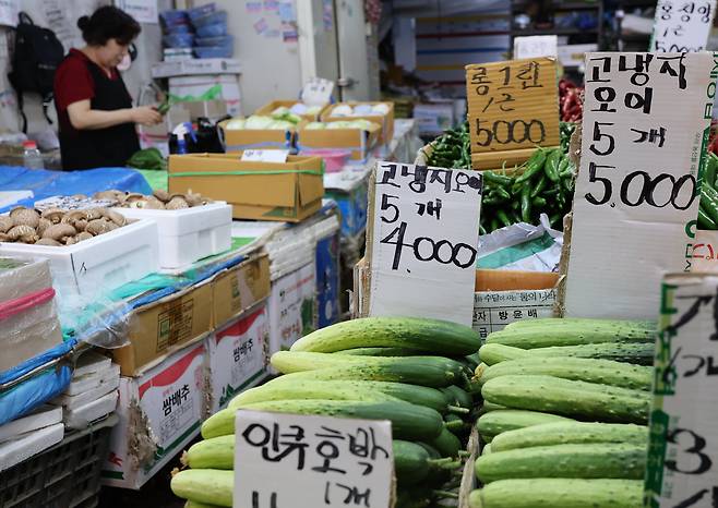 연이은 폭염으로 오이와 여러 농산물들의 가격이 오르고 있는 가운데 2026년 8월 7일 서울 동대문구 경동시장 좌판에 각종 채소의 가격표가 놓여있다. /장경식 기자