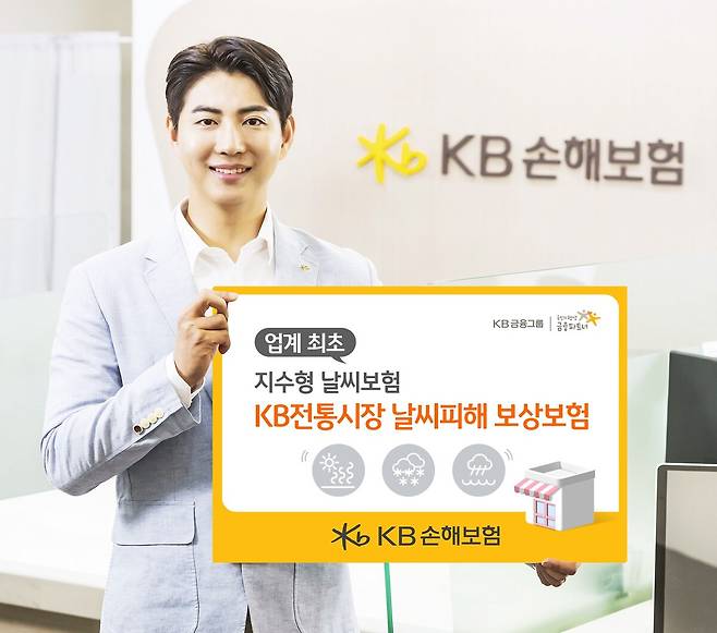 KB손해보험 제공