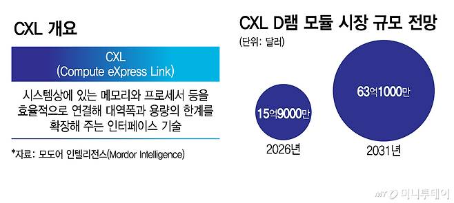 CXL 개요 및 시장 전망/그래픽=김지영
