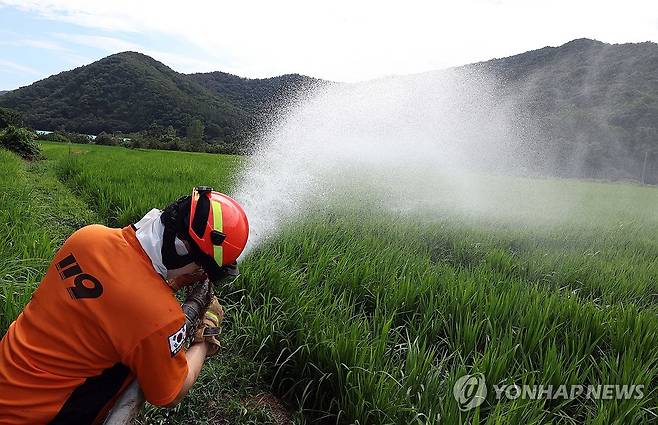 경남 농가 돕는 경기 소방 (밀양=연합뉴스) 김동민 기자 = 국가소방동원령 연장 첫날인 14일 오후 경기도소방본부 수원소방서 이의119센터 소방관이 경남 밀양시 청도면 한 농가에서 급수하고 있다. 2026.8.14 image@yna.co.kr