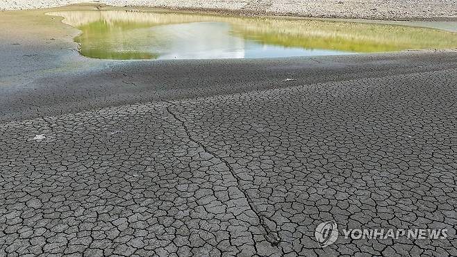 쩍 갈라진 밀양 웅동저수지 (밀양=연합뉴스) 김동민 기자 = 14일 경남 밀양시 무안면 웅동저수지가 가뭄 영향 등으로 말라 있다.
한국농어촌공사 농촌용수종합정보시스템에 따르면 이날 웅동저수지 저수율은 0%이다. 2026.8.14 image@yna.co.kr