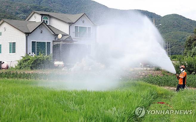 국가소방동원령 연장 첫날…밀양 농가 돕는 경기 소방 (밀양=연합뉴스) 김동민 기자 = 국가소방동원령 연장 첫날인 14일 오후 경기도소방본부 수원소방서 이의119센터 소방관이 경남 밀양시 청도면 한 농가에서 급수하고 있다. 2026.8.14 image@yna.co.kr