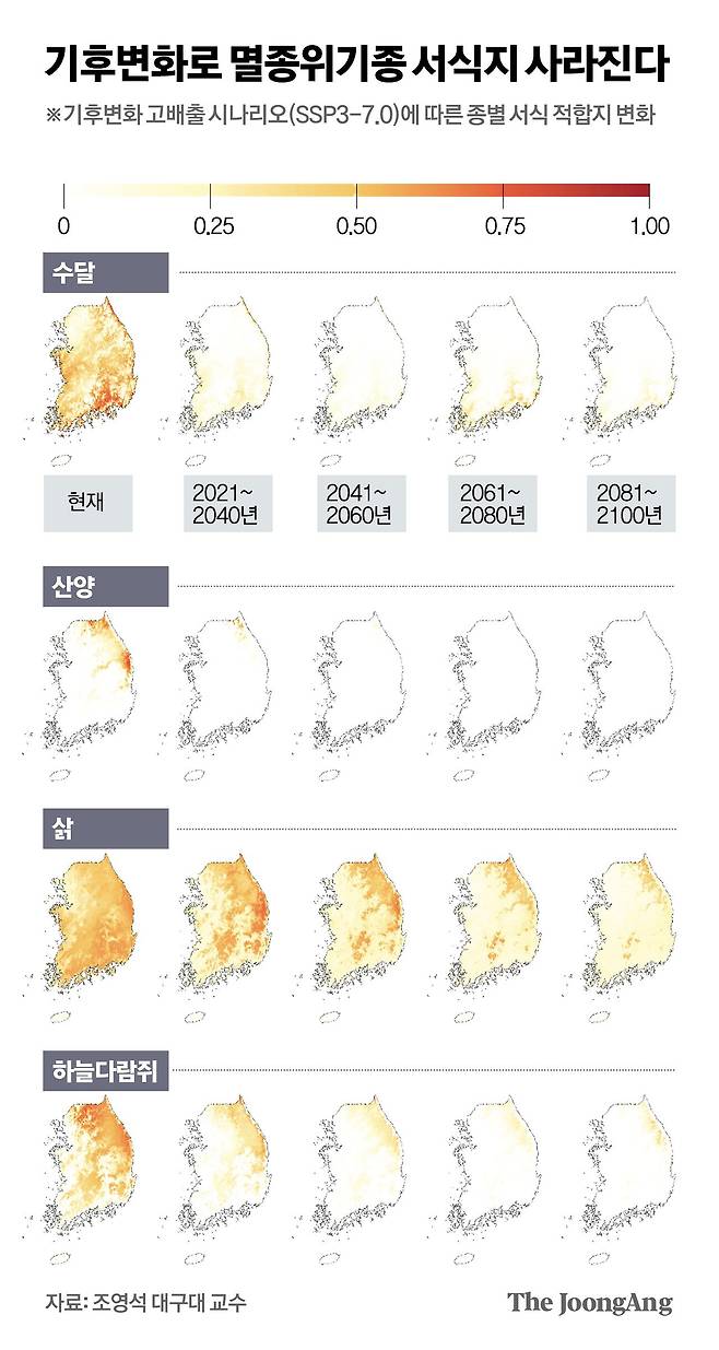 김영옥 기자