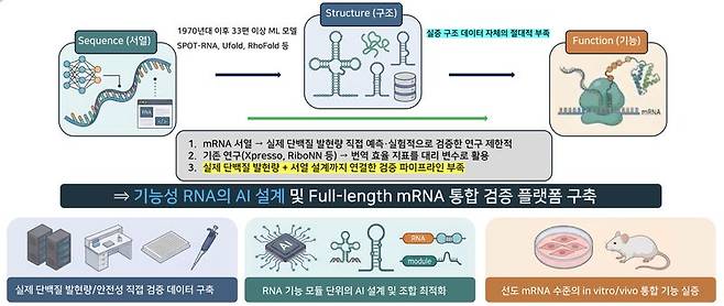연구 모식도. 연세대 제공