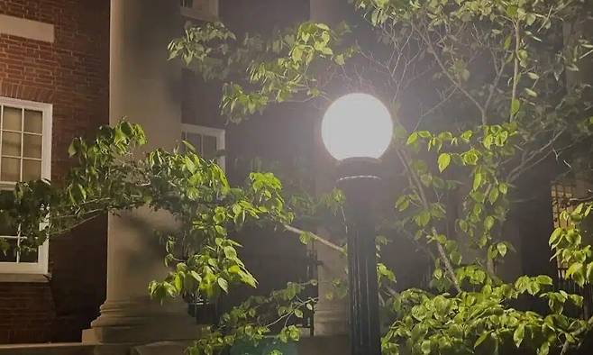 빛공해로 불리는 야간 인공조명을 줄이자 불과 1년만에 도시의 나뭇잎이 돋아나는 시기는 늦어지고 단풍이 드는 시기는 당겨지는 효과가 나타났다. 밴더빌트대 제공