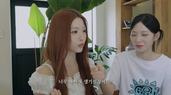 유튜브 채널 '안녕하세요원이입니다잘부탁드립니다'