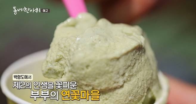 '동네한바퀴' 연꽃마을 카페 아이스크림