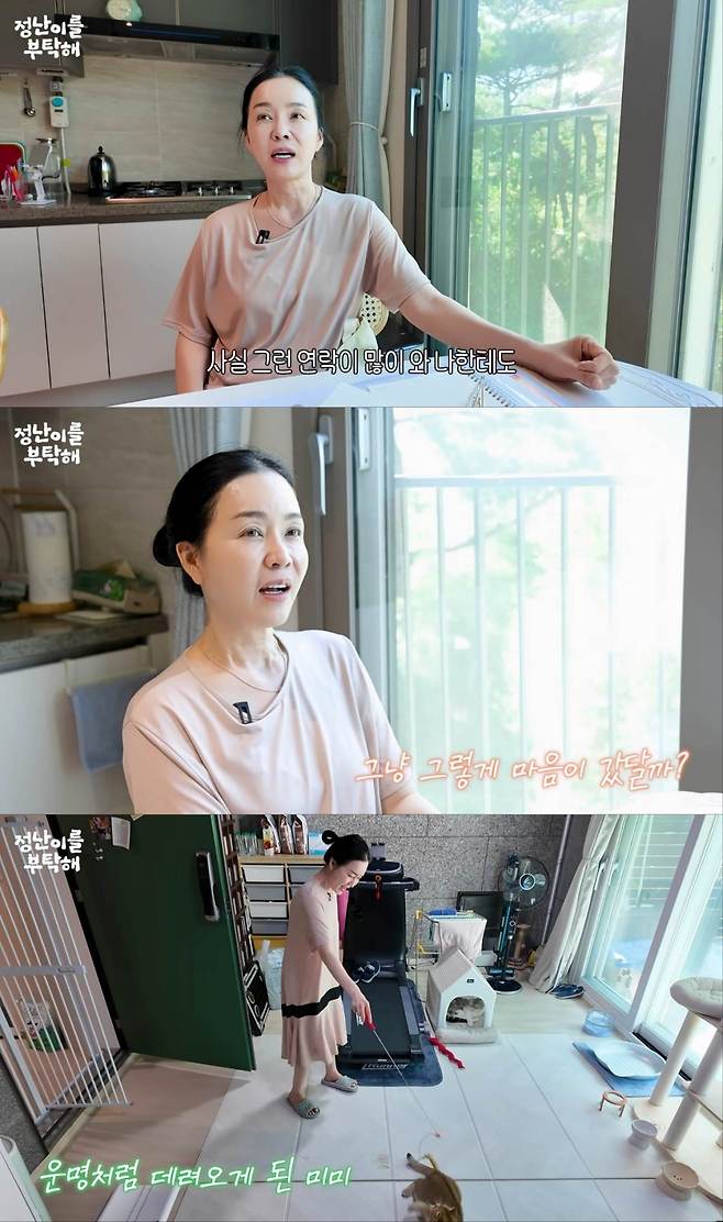 배우 김정난 유튜브 영상 캡처