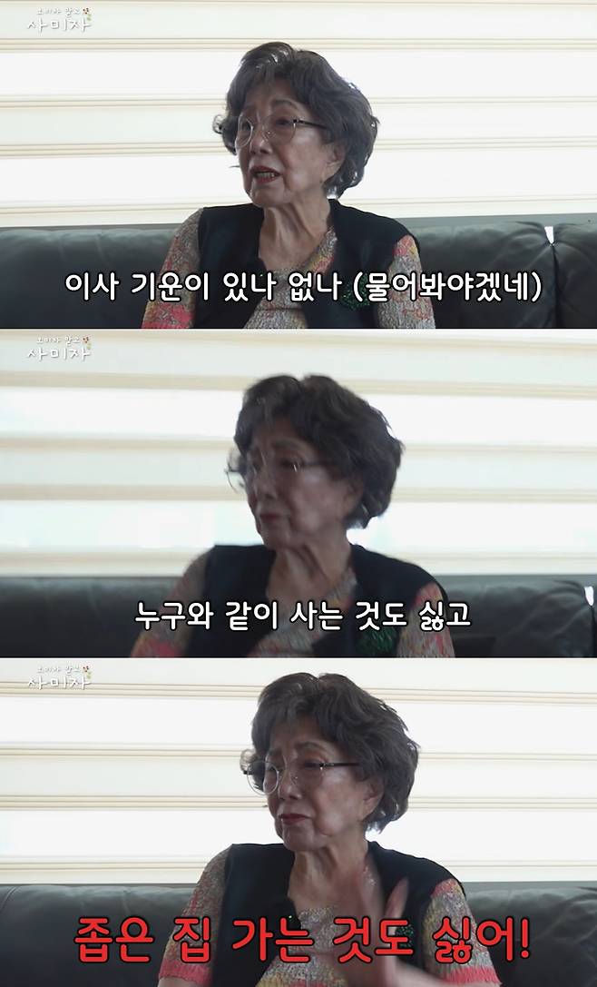 유튜브 '오미자 말고 사미자'