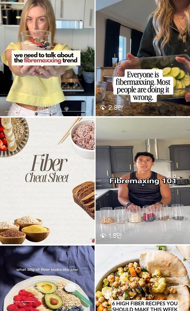 인스타그램에 게시된 파이버맥싱 관련 영상들. 인스타그램 캡처