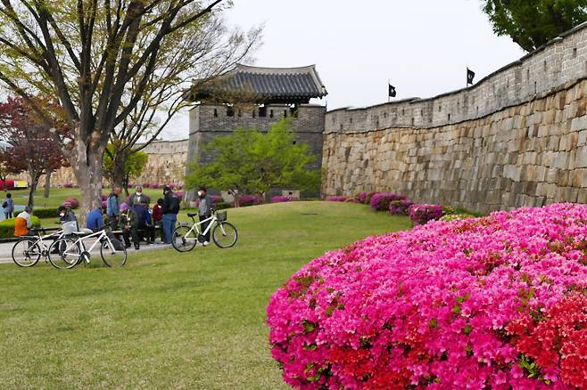 북동포루와 북서포루는 파일럿 프로젝트 대상이었다. 작가 제공